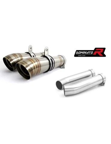 Silencieux slip-on Dominator GP2 pour Aprilia Tuono 1000 R (2006-2010)