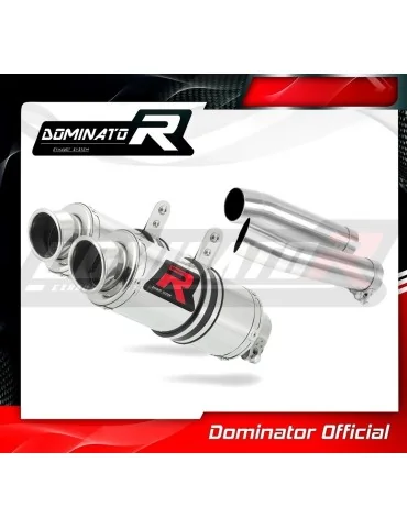 Silencieux slip-on Dominator GP1 pour Aprilia RSV 1000 R (2004-2009)
