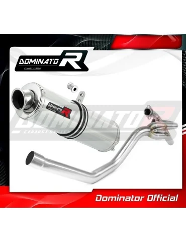 Silencieux slip-on Dominator latéral 2 en 1 ST pour Yamaha XT 660 R (2004-2016)