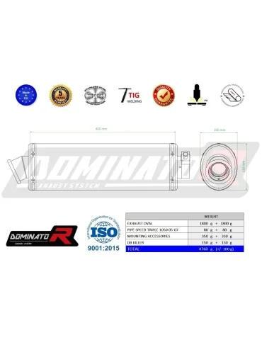 Silencieux slip-on Dominator OV pour Triumph Speed Triple 1050 (2005-2010)