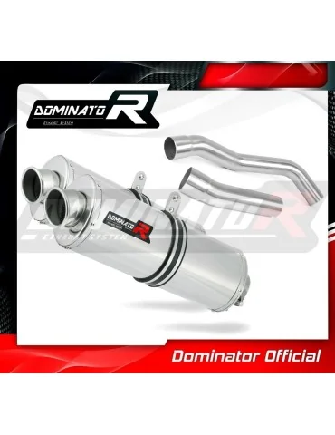 Silencieux slip-on Dominator OV pour Kawasaki Z1000 (2007-2009)