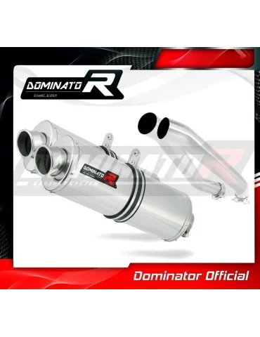 Silencieux slip-on Dominator OV pour Kawasaki Z1000 (2003-2006)