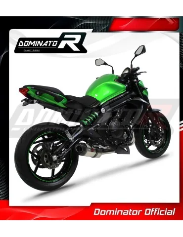 Ligne d'échappement complète inox Dominator HP5 pour Kawasaki ER-6 N / F 650 (2012-2016)