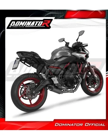 Ligne d'échappement complète Dominator HP8 Titane pour Kawasaki Ninja 650 (2023-2026)