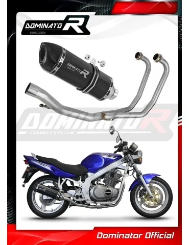 Ligne d'échappement complète inox Dominator HP1 Noir pour Suzuki GS 500F (2004-2014)