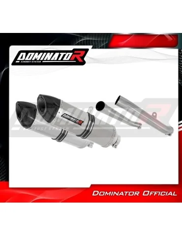 Silencieux slip-on Dominator HP5 pour Kawasaki ZZR 1400 (2012-2023)