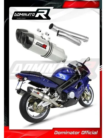 Silencieux slip-on Dominator HP1 pour MuZ MZ 1000 S (2004-2007)