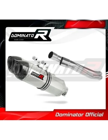 Silencieux slip-on Dominator HP1 pour BMW K1600 GT GTL (2011-2023)