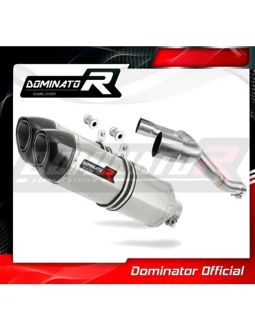 Silencieux slip-on Dominator HP1 pour Yamaha XT 660 Z Tenere Dual (2008-2016)