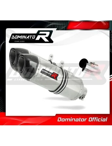 Silencieux slip-on Dominator HP1 pour Ducati Monster 1100 (2009-2013)
