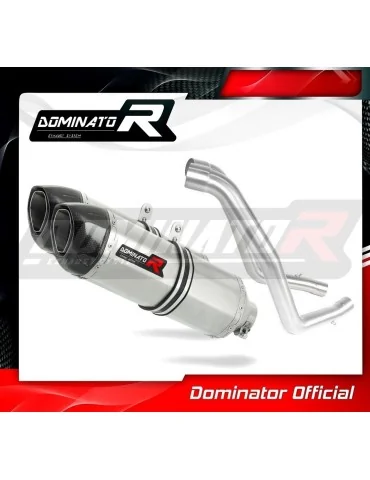 Silencieux slip-on Dominator HP1 pour Aprilia ETV 1000 Caponord (2001-2004)