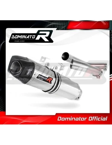 Silencieux slip-on Dominator HP1 pour Yamaha YZF R1 1000 RN22 (2009-2011)