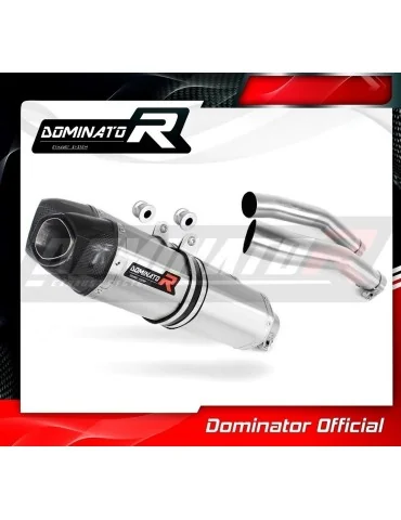 Silencieux slip-on Dominator HP1 pour Yamaha YZF R1 1000 RN19 (2007-2008)