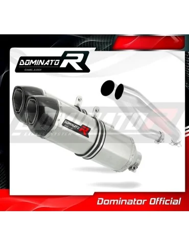 Silencieux slip-on Dominator HP1 pour Kawasaki Z1000 (2003-2006)
