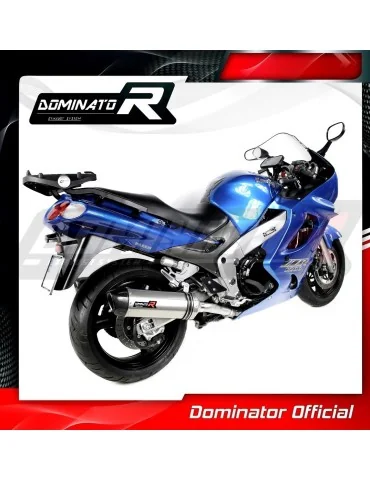 Silencieux slip-on Dominator HP1 pour Kawasaki ZZR 1200 (2002-2005)