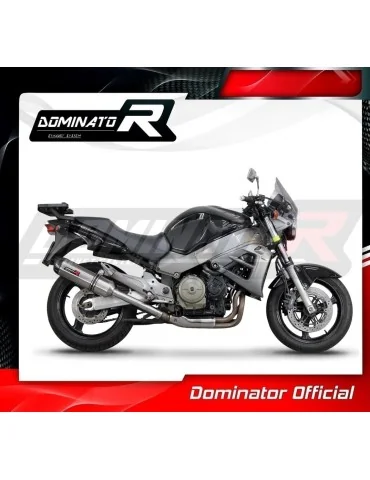 Silencieux slip-on Dominator HP1 pour Honda CB 1100 X11