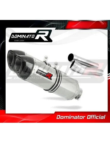 Silencieux slip-on Dominator HP1 pour Ducati Monster 620 (2002-2006)