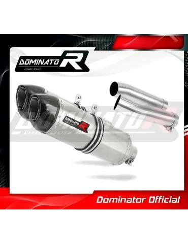 Silencieux slip-on Dominator HP1 pour Aprilia Tuono 1000 R (2006-2010)