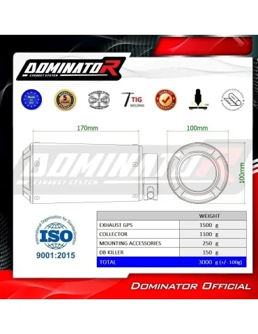 Ligne d'échappement complète inox Dominator GPS pour Aprilia RS 457 (2024-2026)