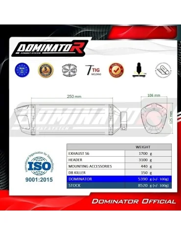 Ligne d'échappement complète inox Dominator S6 Noir pour CF Moto 675 NK (2024-2026)