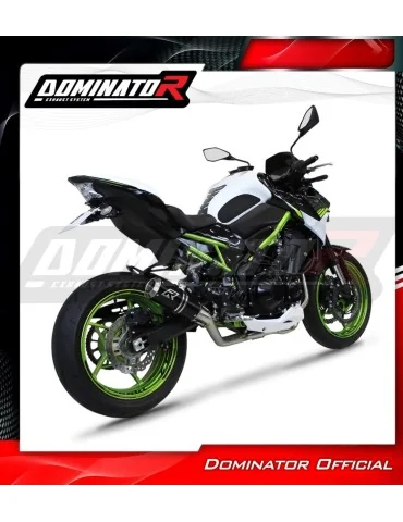 Ligne d'échappement complète inox Dominator GP Noir pour Kawasaki Z 900 A2 (2020-2024)