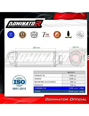 Ligne d'échappement complète inox Dominator S6 pour CF Moto 675 NK (2024-2026)
