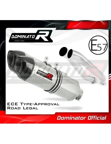 Silencieux slip-on homologué Dominator HP1 pour Kawasaki Z1000 (2003-2006)