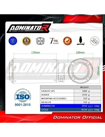 Ligne d'échappement complète inox Dominator GPS pour CF Moto 675 NK (2024-2026)
