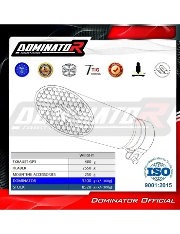 Ligne d'échappement complète inox Dominator GP3 pour CF Moto 675 NK (2024-2026)