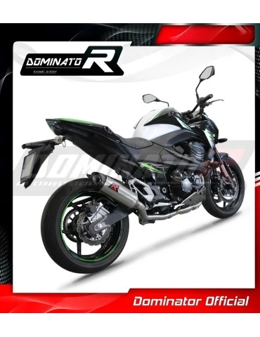 Ligne d'échappement complète inox Dominator HP8 pour Kawasaki Z800 (2013-2016)
