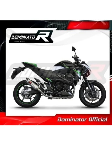Ligne d'échappement complète inox Dominator HP8 pour Kawasaki Z800 (2013-2016)