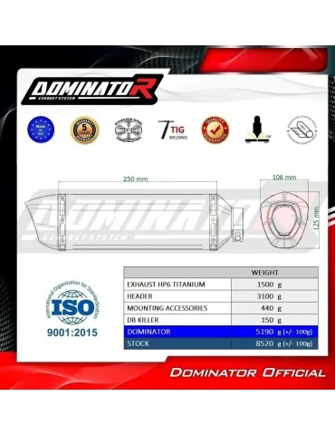 Ligne d'échappement complète Dominator HP6 Titane pour CF Moto 675 NK (2024-2026)