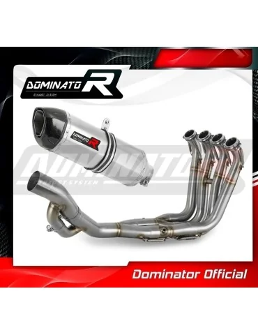 Ligne d'échappement complète inox Dominator HP1 pour BMW S1000R (2017-2020)