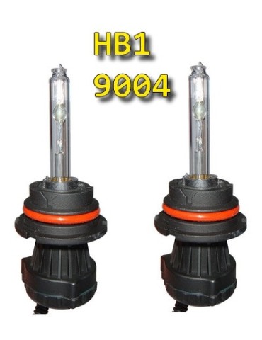 Ampoule HB2 100 Watts x 2