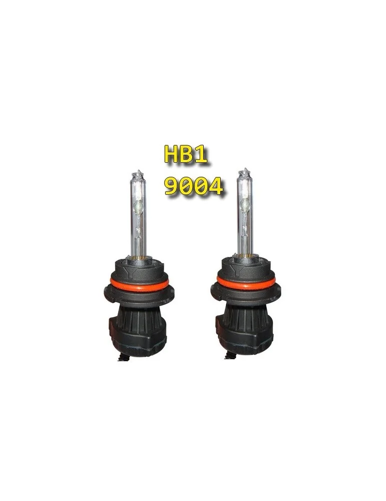 Ampoule HB2 100 Watts x 2