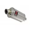Suzuki RV 125 / RV 250 VAN VAN 2003 - 2018  Ligne complète & Silencieux Ovale en Inox 300mm
