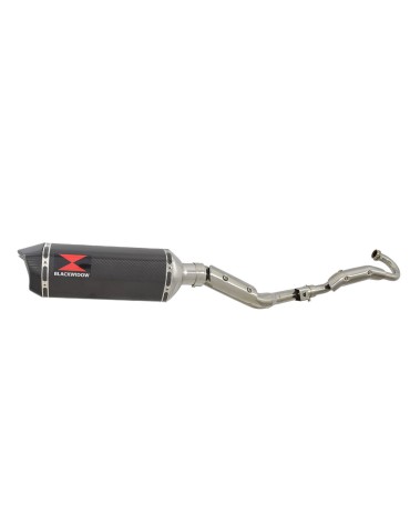 Suzuki RV 125 / RV 250 VAN VAN 2003 - 2018 Ligne complète & Silencieux Hexagonale En Carbone 300mm