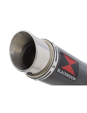 Suzuki RV 125 / RV 250 VAN VAN 2003 - 2018 Ligne complète & Silencieux GP Rond En Carbone 360mm