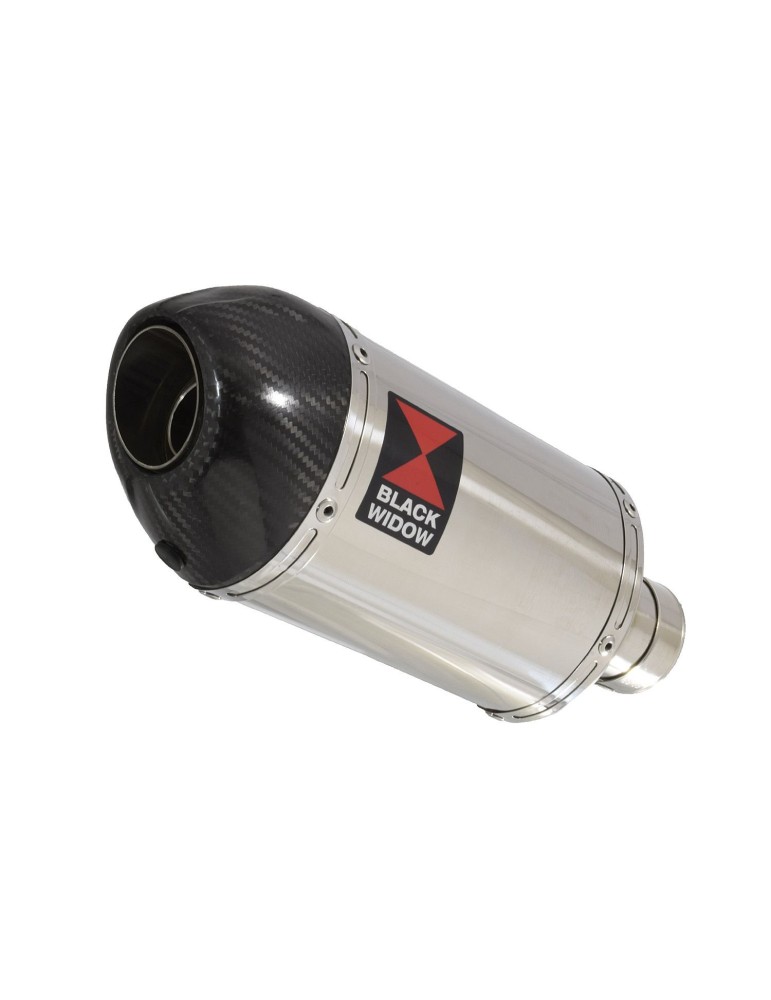 Suzuki RV 125 / RV 250 VAN VAN 2003 - 2018 Ligne complète & Silencieux Ovale en Inox + Canule en Carbone 230mm