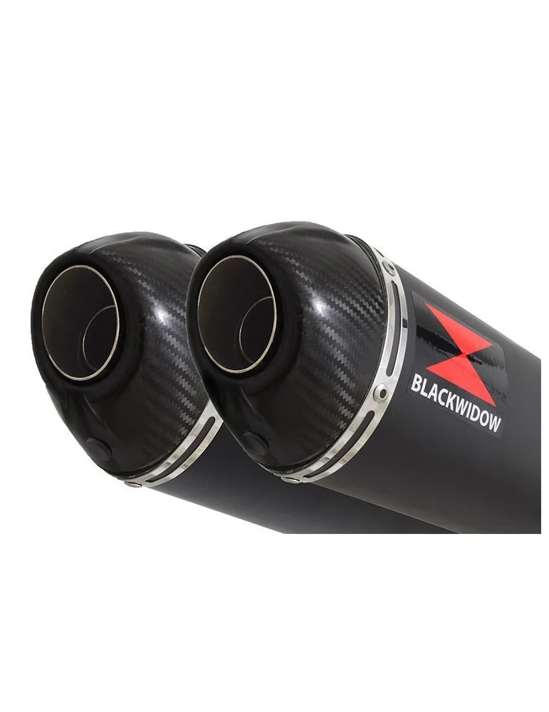 GL1500 GL 1500 GOLDWING Kit / Silencieux Ovale Noir En Inox & Canule en Carbone 400mm