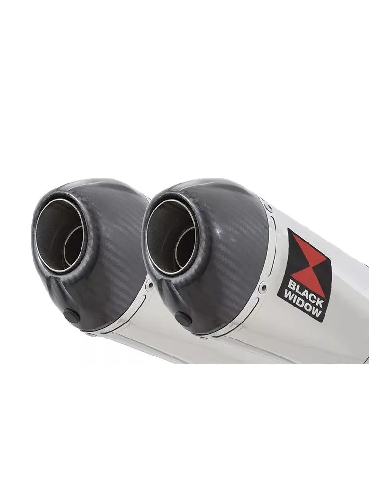 GL1500 GL 1500 GOLDWING Kit / Silencieux Ovale En Inox + Carbone Tip 200mm