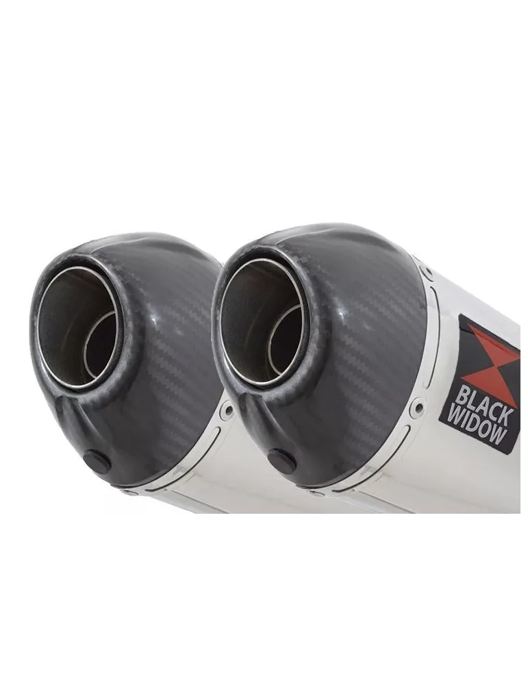 Suzuki DL1000 V-Strom 1000 Silencieux Kit / Silencieux Ovale En Inox & Canule en Carbone 200mm