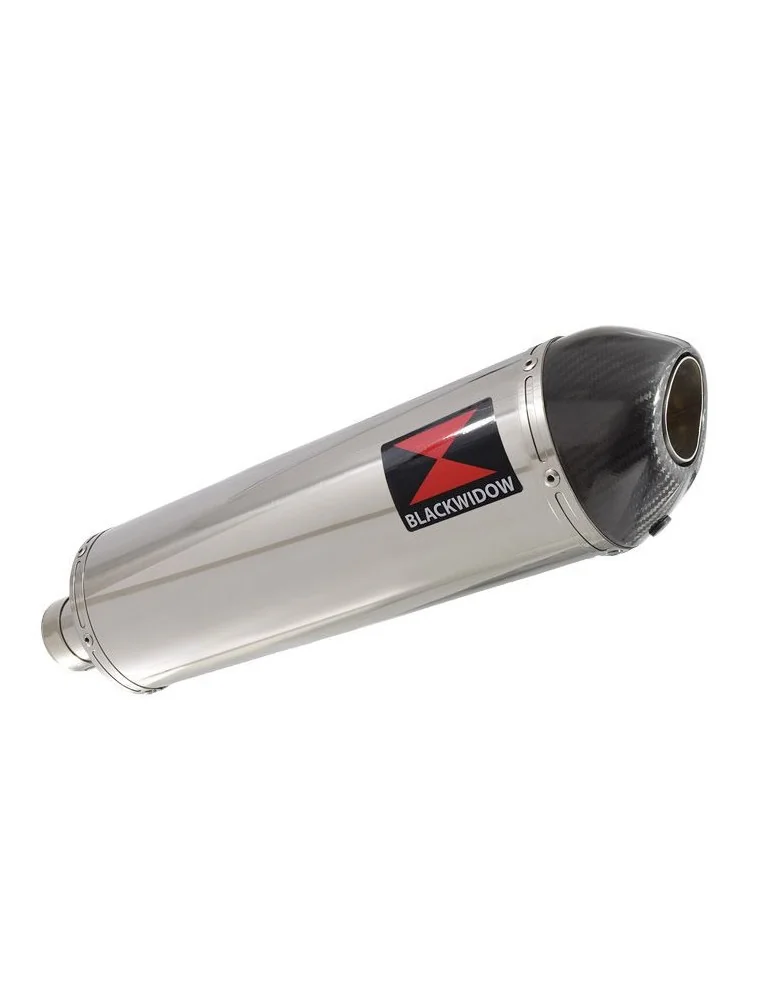 R850GS exhaust tube de raccord et Ovale Silencieux En Inox + carbon tip 400mm