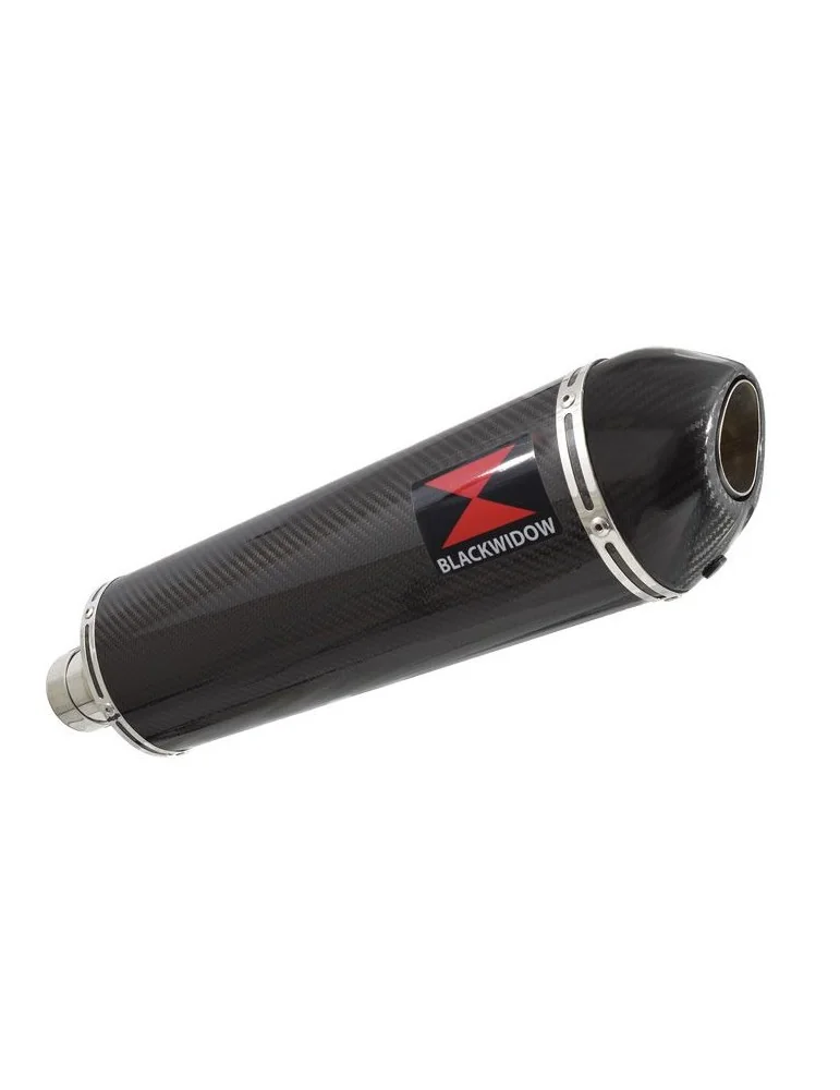 R850GS exhaust tube de raccord et Ovale En Carbone Silencieux + carbon tip 400mm