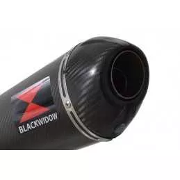 R850GS exhaust tube de raccord et Ovale En Carbone Silencieux + carbon tip 400mm