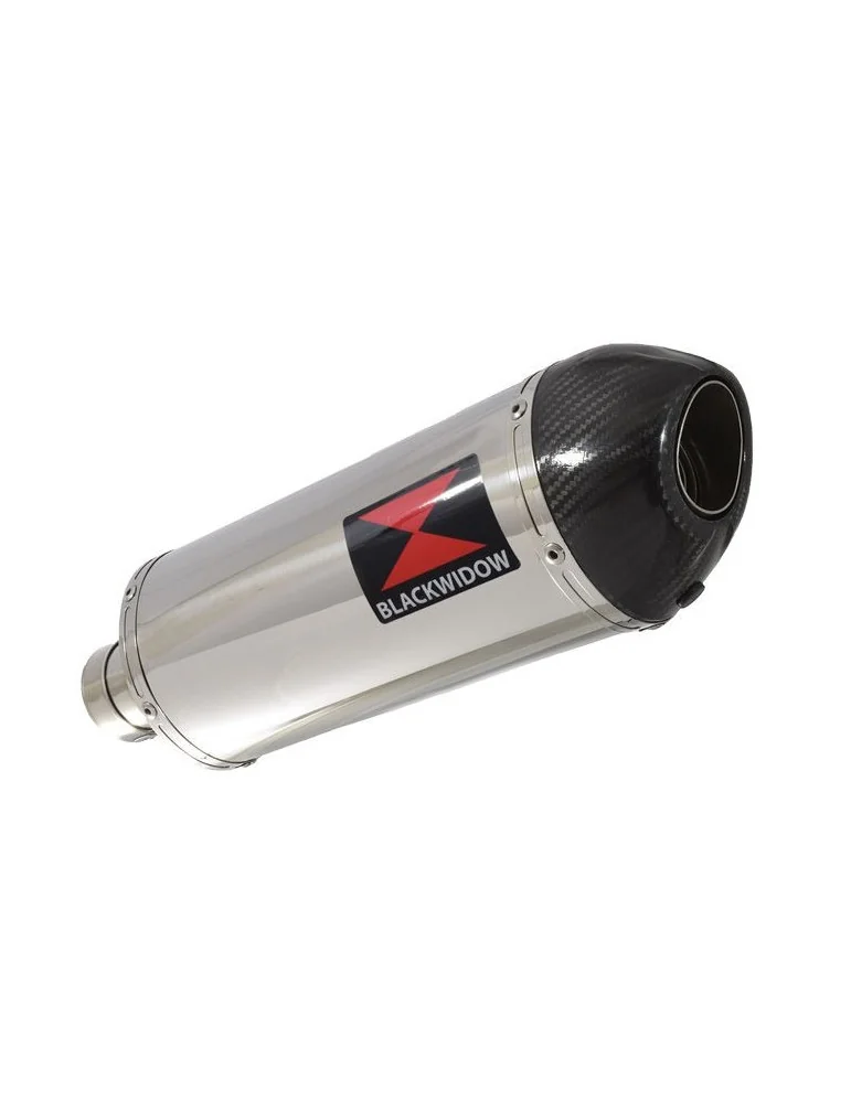 R850GS exhaust tube de raccord et Ovale Silencieux En Inox + carbon tip 300mm