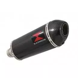 R850GS exhaust tube de raccord et Ovale En Carbone Silencieux + carbon tip 300mm