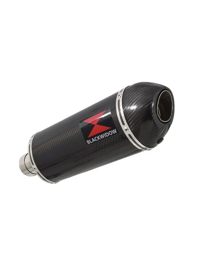 R850GS exhaust tube de raccord et Ovale En Carbone Silencieux + carbon tip 300mm