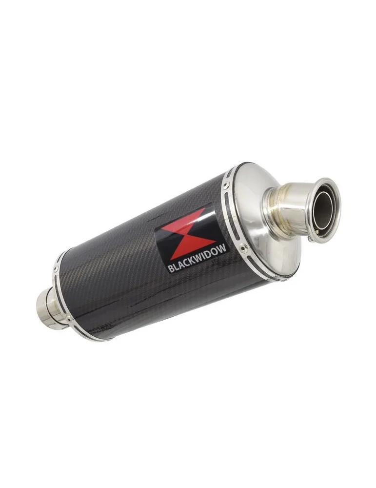 R850GS exhaust tube de raccord et Ovale En Carbone Silencieux 300mm