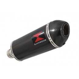 R850R ROADSTER exhaust tube...